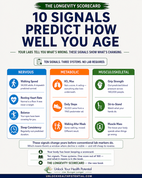 The Longevity Scorecard: Ten Signals That Predict How Well You Age