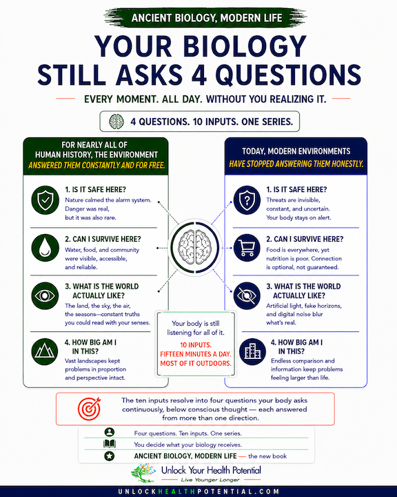 Ancient Biology, Modern Life: Ten Inputs Your Body Still Expects
